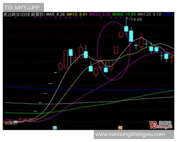 上海篮球队技术分析与战术创新的深度探讨与展望