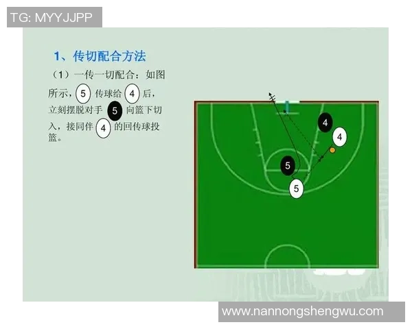 上海篮球队反击战术解析与未来发展展望