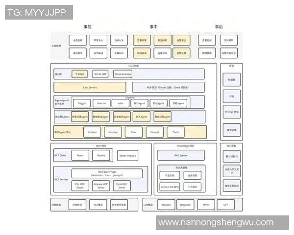 南京飞盘队战术解析：构建高效控制体系的策略与实践
