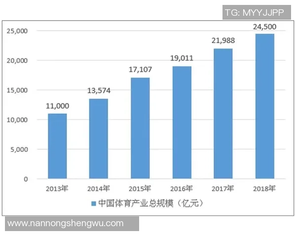 广州排球队比赛经验深度对比分析及其对未来发展的影响探讨