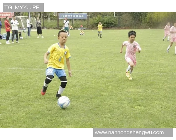 在绿茵场上正踢着足球的少年们展现青春活力与团队精神的瞬间